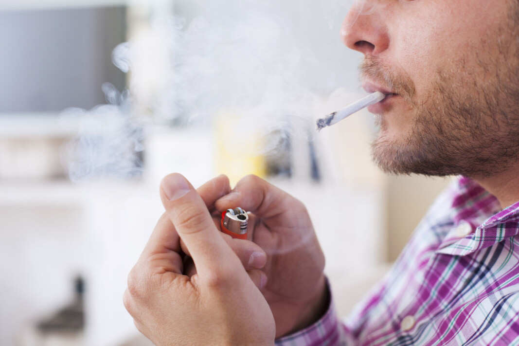 Researchers at the Norwegian University of Science and Technology (NTNU) along with their British colleagues have refuted the perception that smokers are protected from severe COVID-19 and hospitalization. Their findings actually show a clear and distinct connection between these risk factors and serious illness. Researchers at the Norwegian University of Science and Technology (NTNU) along with their British colleagues have refuted the perception that smokers are protected from severe COVID-19 and hospitalization. Their findings actually show a clear and distinct connection between these risk factors and serious illness.