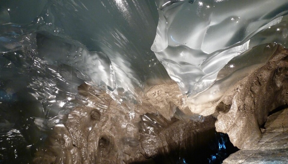 Interface between the clear glacier ice and the sediment-rich layer below (Photo: Miriam Jackson)
