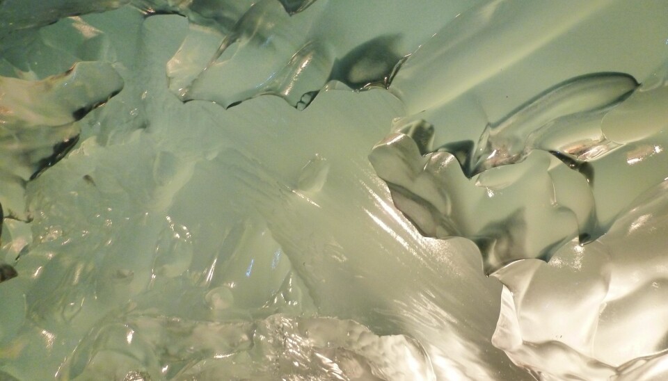 Clear basal ice (Photo: Miriam Jackson)