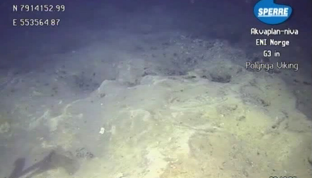 A robotic submarine filming a crater on the seabed in the Barents Sea. (Photo: Akvaplan-NIVA) A robotic submarine filming a crater on the seabed in the Barents Sea. (Photo: Akvaplan-NIVA)