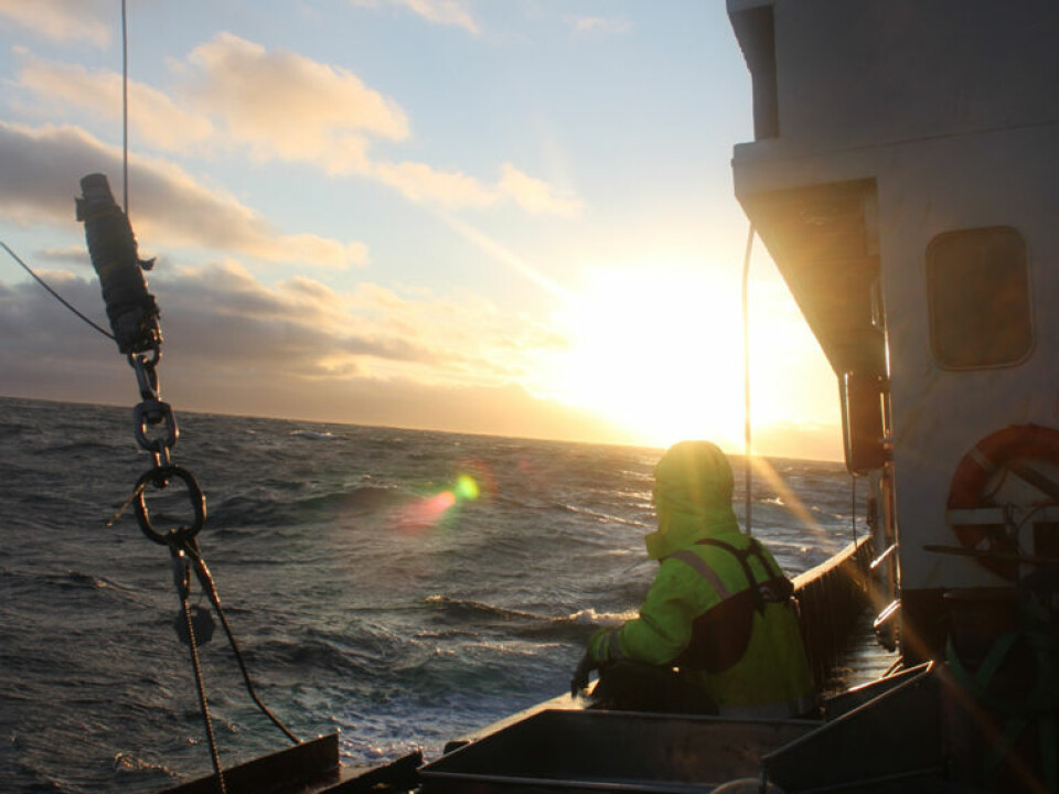 A relatively calm Barents Sea in the summer of 2010. (Photo: Akvaplan-NIVA)