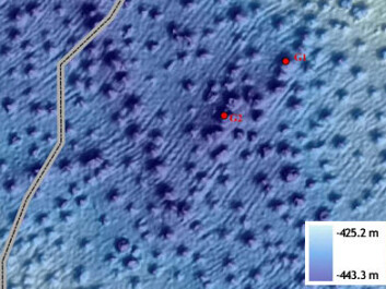 Large sections of the seabed in the Goliat Field are covered in craters, caused by natural gas rising from the rock strata below. (Photo: Akvaplan-NIVA) Large sections of the seabed in the Goliat Field are covered in craters, caused by natural gas rising from the rock strata below. (Photo: Akvaplan-NIVA)