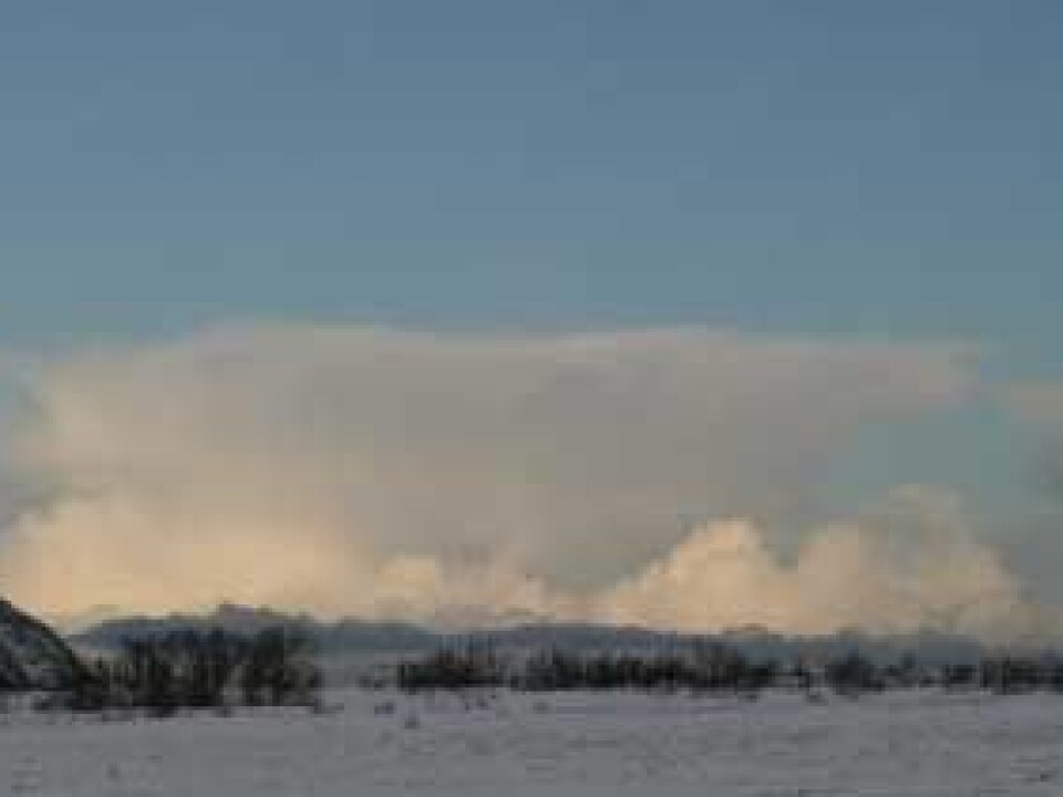 A polar low-pressure system seen from the ground. (Photo: ArcChange)