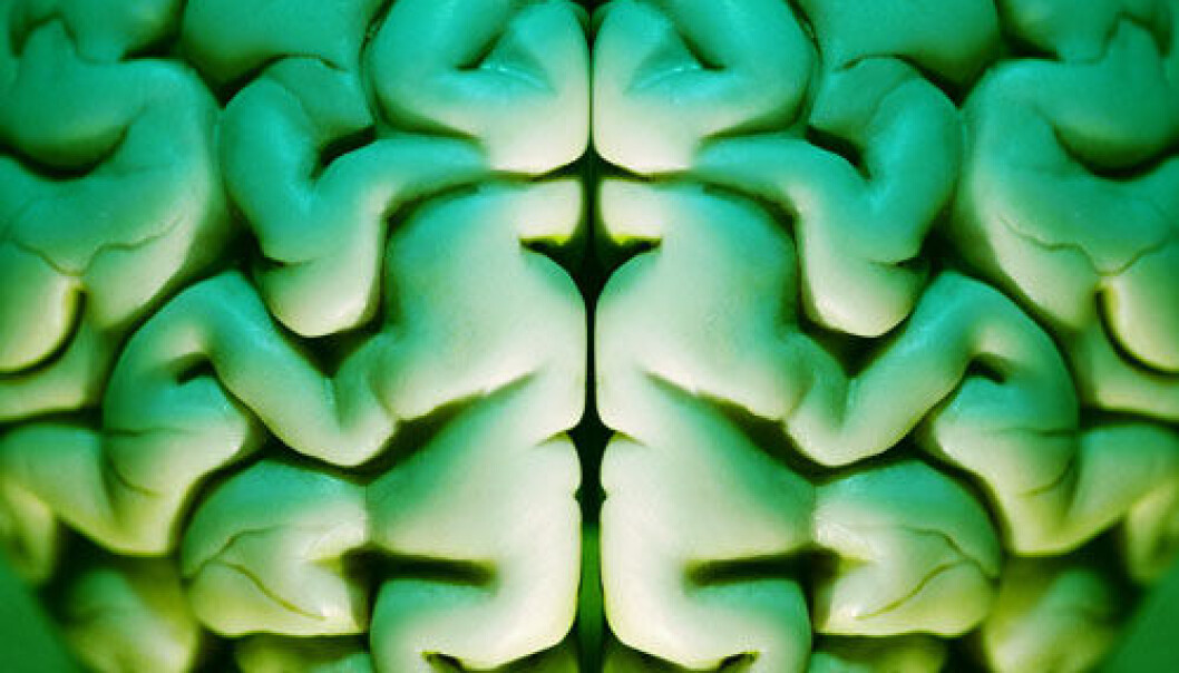 Neuroscientists will select topics each month that they think deserve exploration in web articles on brainfact.org. (Photo. Colourbox) Neuroscientists will select topics each month that they think deserve exploration in web articles on brainfact.org. (Photo. Colourbox)