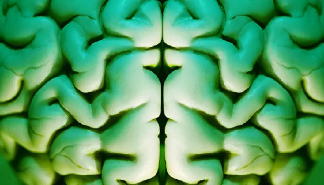 Neuroscientists will select topics each month that they think deserve exploration in web articles on brainfact.org. (Photo. Colourbox)