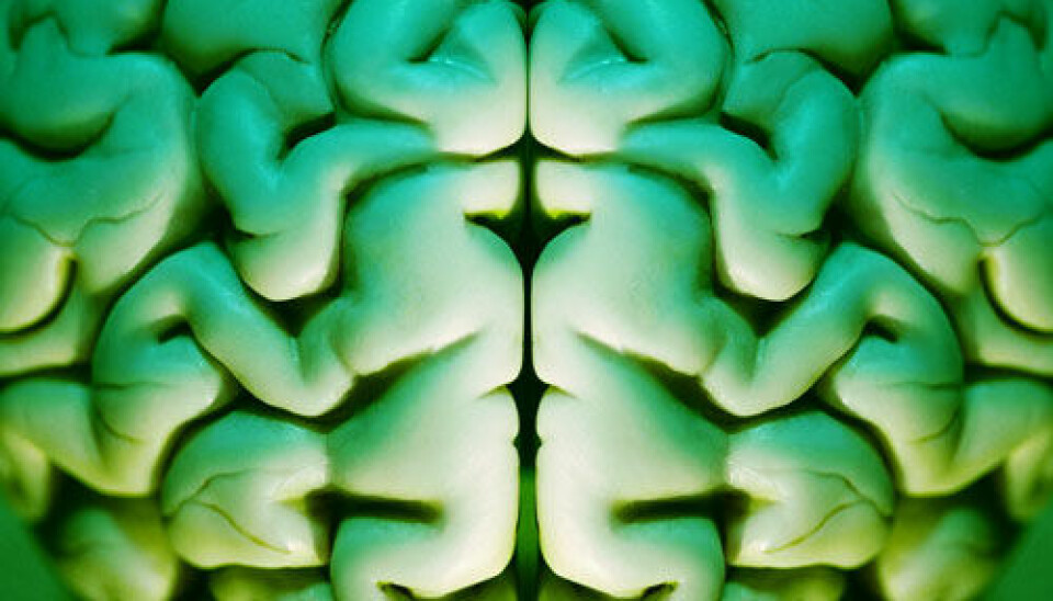 Neuroscientists will select topics each month that they think deserve exploration in web articles on brainfact.org. (Photo. Colourbox)