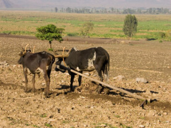 Aid money is supposed to feed the poor, but the money is used to buy weapons (Photo: iStockphoto) Aid money is supposed to feed the poor, but the money is used to buy weapons (Photo: iStockphoto)