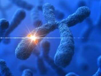 Could there be something about the X-chromosome that protects girls against autistic disorders? Sven Bölte thinks this might be the case. (Photo: Istockphoto) Could there be something about the X-chromosome that protects girls against autistic disorders? Sven Bölte thinks this might be the case. (Photo: Istockphoto)