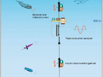 An ocean observatory anchored to the sea bed could look like this. Various scientific monitoring instruments can provide hour-by-hour observations, year round. Click on the magnifying glass for an enlargement. (Illustration: Norwegian Ocean Observatory Network/NOON). An ocean observatory anchored to the sea bed could look like this. Various scientific monitoring instruments can provide hour-by-hour observations, year round. Click on the magnifying glass for an enlargement. (Illustration: Norwegian Ocean Observatory Network/NOON).