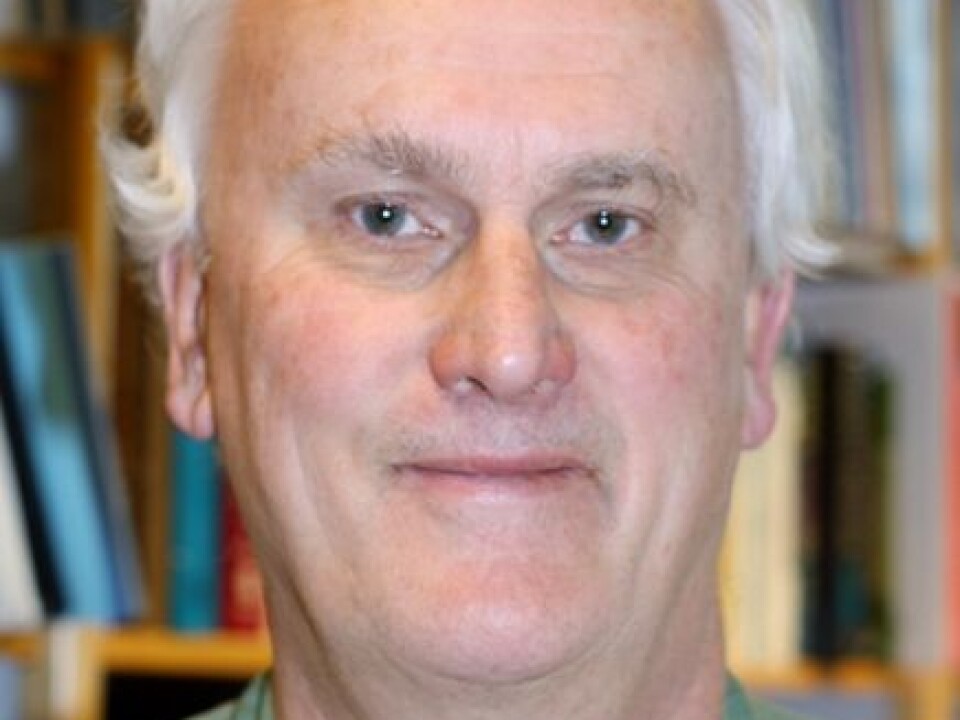 Professor Knut Holtan Sørensen. (Photo: Kilden)