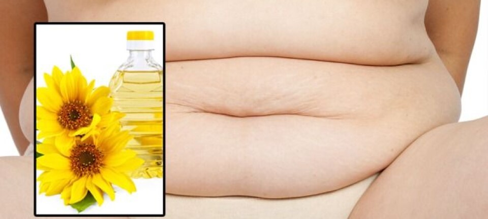 Vegetable oils promote obesity