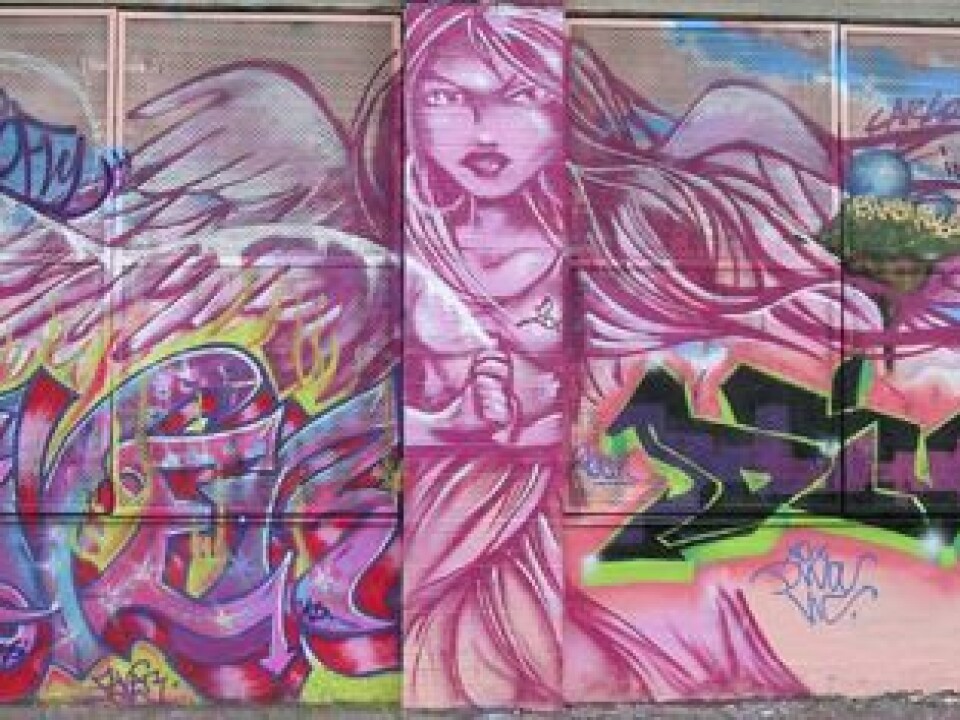 From the Graffiti Hall of Fame in Harlem, New York. The pink angel is taken from a wall that honours female graffiti pioneers, made by some of today’s foremost female artists: TOO FLY, QUEEN ANDREA, FEVER, DIVA, MUCK, DONA and INDIE. The angel was made by TOO FLY. (Photo: Carl Petter Opsahl)