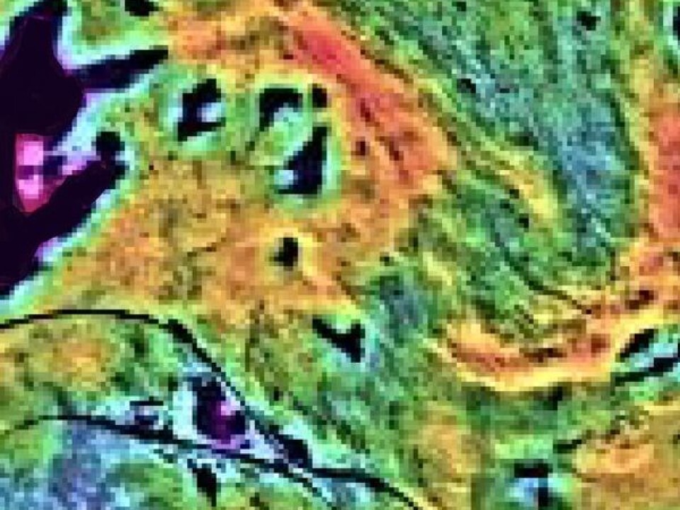 This is what the satellite image looks like when downloaded. Several images are joined together to form a colour image which enables the researchers to interpret them. The completely black areas are water. The darker the patches of land, the less living vegetation. We see the E-10 highway and railway between Narvik and Kiruna snaking their way across the photograph. (Photo: Fram Centre).