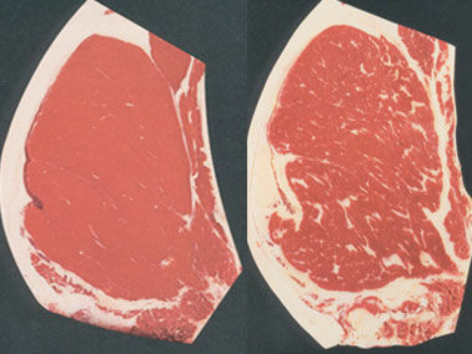 At left a lean cut of steak, on the right the same cut with much more intramuscular fat, or marbling. (Photo: US Dept. of Agriculture)