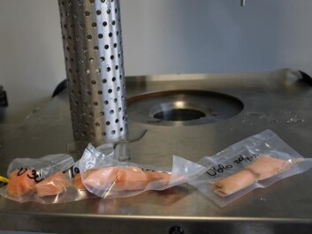Sealed packages of salmon filets ready for testing. (Photo: Nofima) Sealed packages of salmon filets ready for testing. (Photo: Nofima)