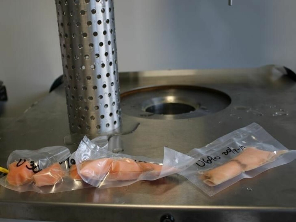 Sealed packages of salmon filets ready for testing. (Photo: Nofima)