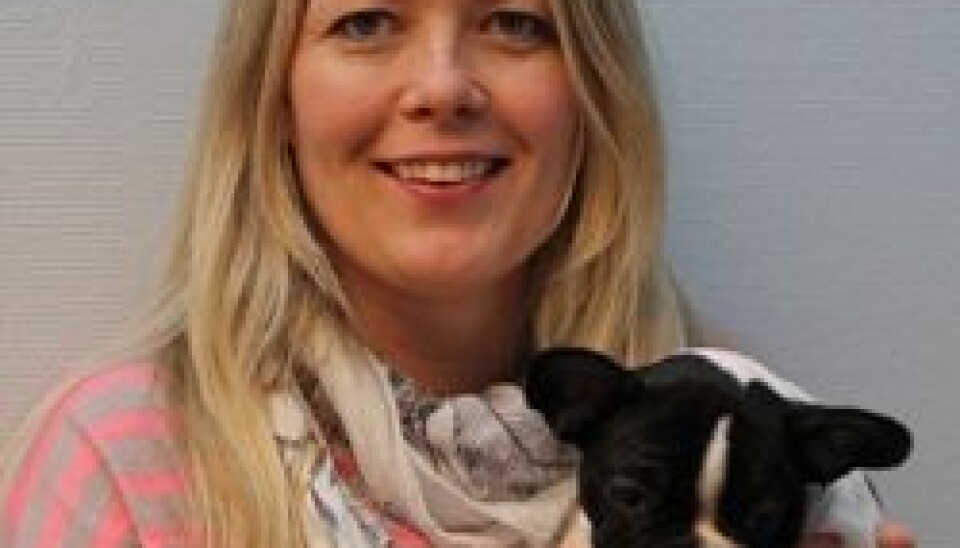 Elena R. Moldal has examined 81 animals for post operative stress (Photo: NVH)