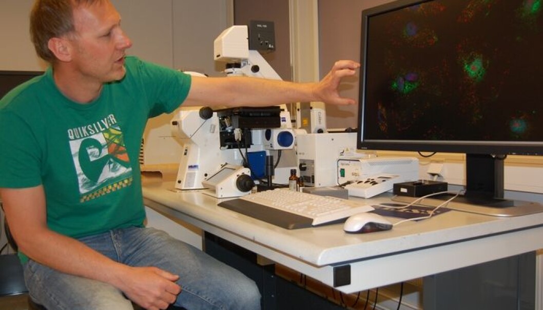Jacob Torgersen’s job involves capturing images of teensy-weensy bits of fish. (Photo: Preben Forberg) Jacob Torgersen’s job involves capturing images of teensy-weensy bits of fish. (Photo: Preben Forberg)