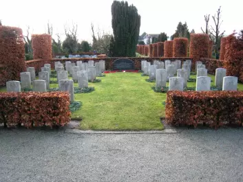 The graves at Eiganes where 25 of the soldiers from Operation Freshman now rest. (Photo: Ion Drew)