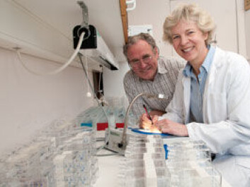 Researchers Nina Edin and Erik Pettersen. (Photo: Ynge Vogt, UiO) Researchers Nina Edin and Erik Pettersen. (Photo: Ynge Vogt, UiO)