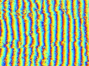 Interferogram: Differences between phases from two radar images. (Figure: Svein Solberg, Norwegian Forest Research Institute) Interferogram: Differences between phases from two radar images. (Figure: Svein Solberg, Norwegian Forest Research Institute)