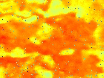 The differential interferogram showing differences in altitude. (Figure: Svein Solberg, Norwegian Forest Research Institute) The differential interferogram showing differences in altitude. (Figure: Svein Solberg, Norwegian Forest Research Institute)