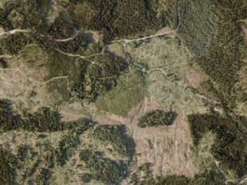 An aerial photo of the same area in the Lardal Municipality. (Figure: Svein Solberg, Norwegian Forest Research Institute) An aerial photo of the same area in the Lardal Municipality. (Figure: Svein Solberg, Norwegian Forest Research Institute)