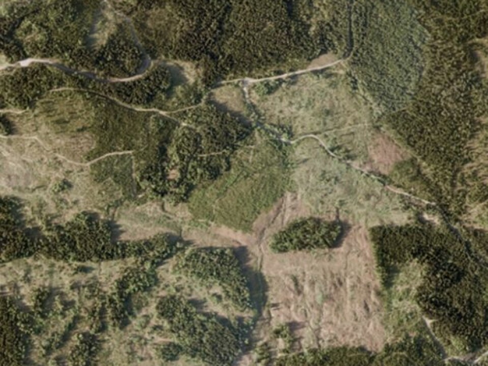 An aerial photo of the same area in the Lardal Municipality. (Figure: Svein Solberg, Norwegian Forest Research Institute)