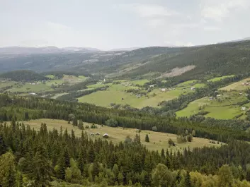 The cultivated landscape of Gudbrandsdalen as it appears today, with current agriculture. (Photo: Anders Bryn)