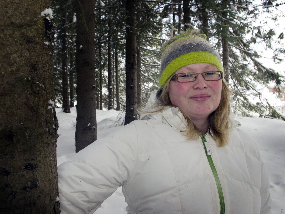 Underestimated: “The trees' ability to exist at a minimal level and their rate of spread appears to have been underestimated,” says Ellen Elverland, a PhD candidate at the Tromsø Museum and one of many scientists who participated in the study. (Photo: Stefan Amlie)