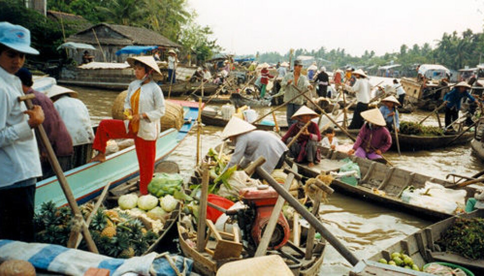 The Mekong river in Vietnam. (Photo: Wikimedia Commons)