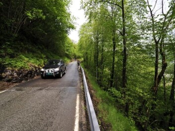 Here the regrowth of outlying browsing areas along the road has blocked the view in Ulvik, Hordaland County. (Photo: Anders Bryn) Here the regrowth of outlying browsing areas along the road has blocked the view in Ulvik, Hordaland County. (Photo: Anders Bryn)
