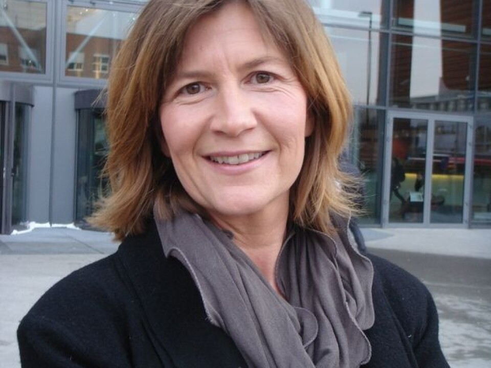 Anne Berit Swanberg (Photo: Audun Farbrot)
