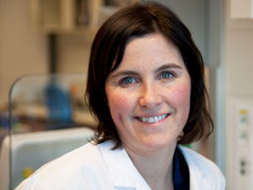 Post-doctoral research fellow Trude Holmeide Ågesen is hunting for so-called candidate genes. (Photo: Marianne Baksjøberg, UiO)