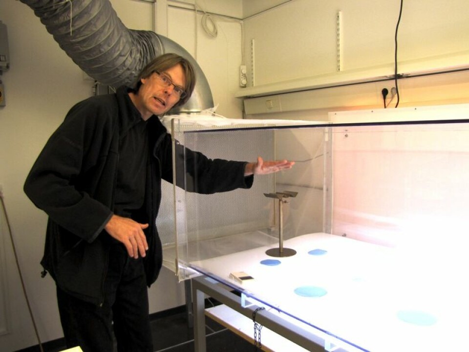 Pesticide researcher Geir Kjølberg Knudsen shows off the wind tunnel where the apple fruit moth is placed. The researchers have identified 140 scent-producing substances in rowanberries. They’ve tried out many combinations of these, using the apple fruit moth as their guinea pig. They’ve arrived at a mixture of seven of these substances which make a fragrance the insect prefers to the smell of apples. This will be used in traps at apple orchards to reduce the pests. (Photo: Marianne Nordahl)