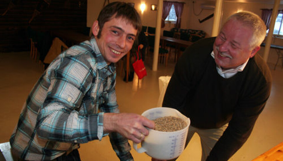 Jørn Kragtorp (left) and Manfred Heun brew beer from the primitive wheat known as einkorn. Here they are adding a malt of einkorn, ready to start the brewing process. (Photo: Asle Rønning)