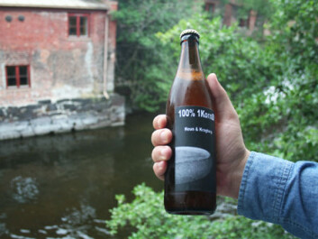 Einkorn beer brewed on a hobby basis at Hemnes has won acclaim from near and far. (Photo: Asle Rønning) Einkorn beer brewed on a hobby basis at Hemnes has won acclaim from near and far. (Photo: Asle Rønning)