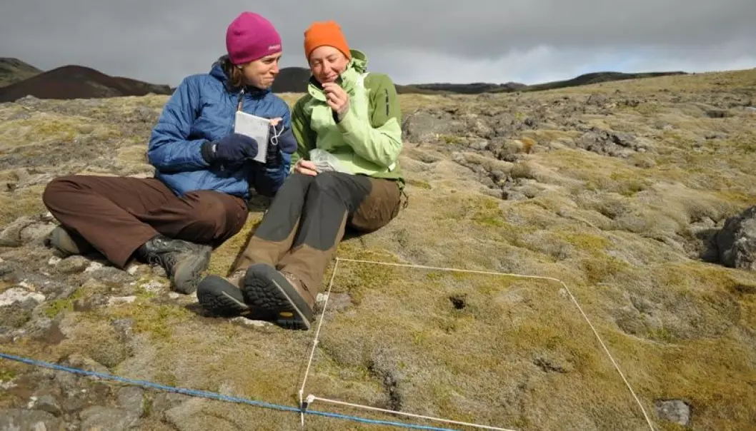 Elisabeth Maquart from France and Brooke Wilkerson from the US were Jutta Kapfer’s field assistants on the Norwegian island Jan Mayen. Here they have delineated a small area for a phytosociological study. (Photo: Jutta Kapfer)
