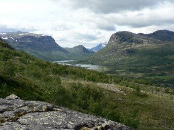 Sikkilsdalen is a valley in the eastern part of Jotunheimen, a mountainous area of roughly 3,500 km². Sikkilsdalen is used as grazing land for horses in the summer. (Photo: Jutta Kapfer) Sikkilsdalen is a valley in the eastern part of Jotunheimen, a mountainous area of roughly 3,500 km². Sikkilsdalen is used as grazing land for horses in the summer. (Photo: Jutta Kapfer)