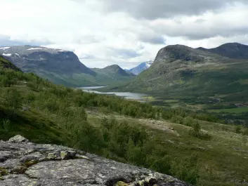 Sikkilsdalen is a valley in the eastern part of Jotunheimen, a mountainous area of roughly 3,500 km². Sikkilsdalen is used as grazing land for horses in the summer. (Photo: Jutta Kapfer)