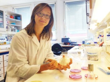 Elin Halbach Røssvoll. (Photo: Andreas R. Graven) Elin Halbach Røssvoll. (Photo: Andreas R. Graven)