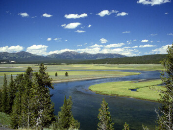 Yellowstone National Park is visited by nearly three million people a year, yet vast tracts of the park can still be designated as classic virgin wilderness. (Photo: Ed Austin/Herb Jones) Yellowstone National Park is visited by nearly three million people a year, yet vast tracts of the park can still be designated as classic virgin wilderness. (Photo: Ed Austin/Herb Jones)