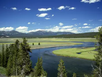 Yellowstone National Park is visited by nearly three million people a year, yet vast tracts of the park can still be designated as classic virgin wilderness. (Photo: Ed Austin/Herb Jones)