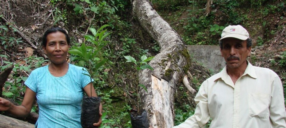 A cup of coffee with biodiversity and clean drinking water, please