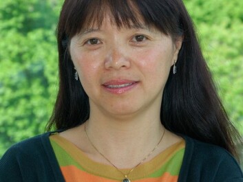 Senior researcher Jihong Liu Clarke of Bioforsk.(Photo: Bioforsk) Senior researcher Jihong Liu Clarke of Bioforsk.(Photo: Bioforsk)