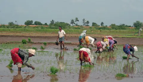 traditional methods of farming in india