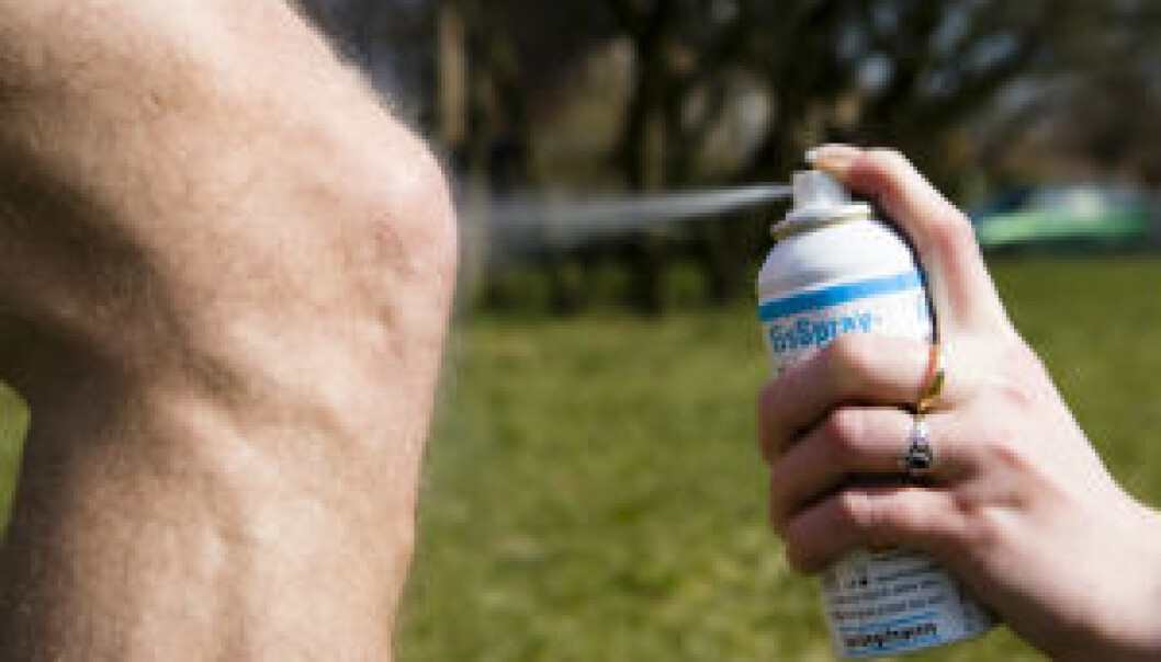 Why does the anterior cruciate ligament tear? An extensive Norwegian study is endeavouring to find the answer. (Photo: Colourbox) Why does the anterior cruciate ligament tear? An extensive Norwegian study is endeavouring to find the answer. (Photo: Colourbox)