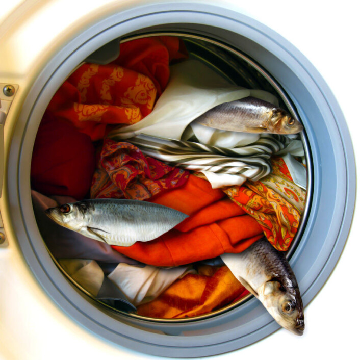 Fish stocks can clean socks. (Photo manipulation: Per Byhring/Colourbox) Fish stocks can clean socks. (Photo manipulation: Per Byhring/Colourbox)