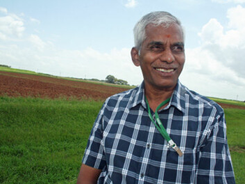 Kupanam Palanisami of the International Water Management Institute in Hyderabad, India, is an expert in the efficient use of water in agriculture. (Photo: Asle Rønning)