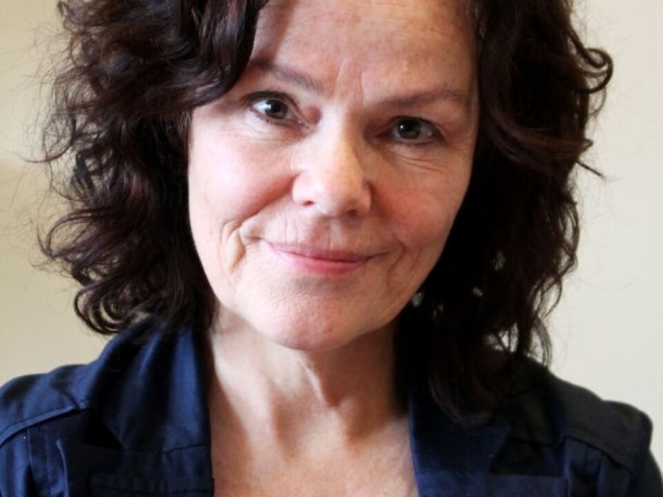 Anne Lise Ellingsæter is a Professor of sociology at the Department of Sociology and Human Geography at the University of Oslo. (Photo: UiO)